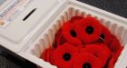 Four poppy boxes stolen in Belleville