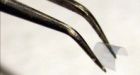 Invisibility cloak closer with flexible 'metamaterial'