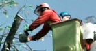 Heavy winds knock out power