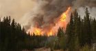 Climate change, wildfires in vicious cycle