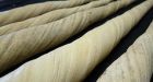 Nunavut Inuit decry narwhal tusk export ban