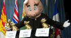 Group names G8-G20 as top example of wasteful spending
