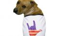 Deaf dog learns sign language