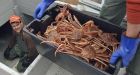 Thai workers flown in to staff Newfoundland fish plant