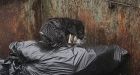 Puppy rescued from Winnipeg dumpster recovering