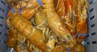 Bright orange lobsters surprise fish market