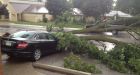 Storms kill 1 person, leave 400,000 without power in Quebec