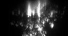 Video: Electric power line fireball caught on camera