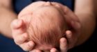 Birth defect risk affected by father's diet, study suggests