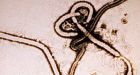 Ebola epidemic confirmed in Guinea, death toll quickly rising