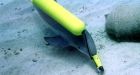 Ukraine's secret unit of spy DOLPHINS have defected to Russia