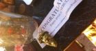 Hidden weed: Twitter clues hint at where free pot is hiding in Vancouver