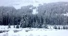 Frost advisories issued in southern Alberta as snow falls in the mountains