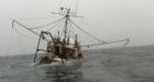 Newfoundland crew 'lucky' to be alive after boat sinks off Cape Breton