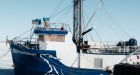 Arctic research ship Martin Bergmann runs aground