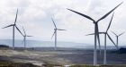 Wind farms will create more carbon dioxide, say scientists