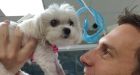 Dog gets brain surgery in Langley that she couldnt get in Arizona