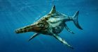 Ancient marine reptile found in Scotland