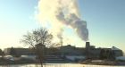 Longueuil drinking water unsafe after diesel spill, Quebec official says