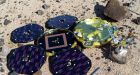 Mars Beagle-2 lander found after 11 years missing