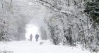 UK weather set to plunge into 'mini ice age', Met Office warns