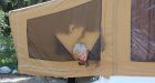 Five-year old's screams woke family when bear ripped tent trailer