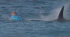 Surfer Mick Fanning's mum saw shark attack on live TV