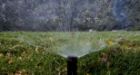 Water restrictions intensify in Metro Vancouver as hot, dry conditions persist
