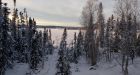 Delightfully mild' winter in N.W.T. thanks to El Nino