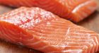 Shift to plant-based fish feed could hurt health, environment