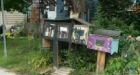 Ottawa woman's little free library to be shut down over city bylaw