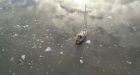 Yacht sails through low-ice Arctic sea routes