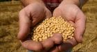 Bayer to buy Monsanto in $66B takeover