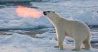 Experts said Arctic sea ice would melt entirely by September 2016