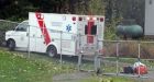 Teen boy killed in Surrey, B.C. as tree topples during high winds