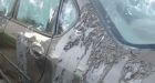 Car drenched in acid, Edmonton refugees get a new ride